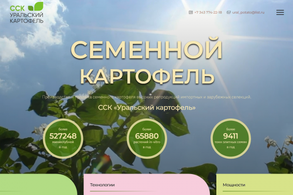 Уральский картофель